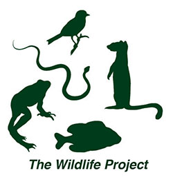 The Wildlife Project